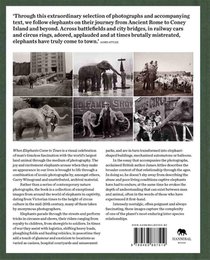 When Elephant Come to Town achterzijde