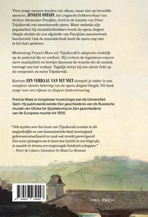 Een verhaal van net niet achterzijde