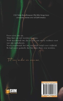 Gestolen door waarheden achterzijde