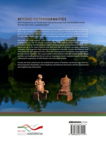 Beyond heterogeneities achterzijde