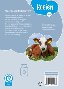 Koeien achterzijde