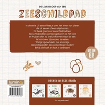 De levensloop van een zeeschildpad achterzijde