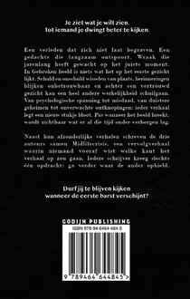 Gebroken beeld achterzijde