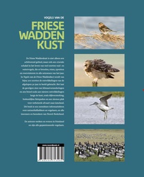 Vogels van de Friese Waddenkust achterzijde