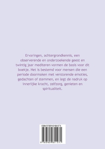 Te veel stemmen achterzijde