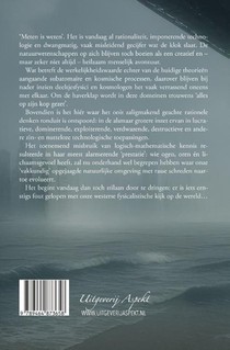Als in een wazige spiegel achterzijde