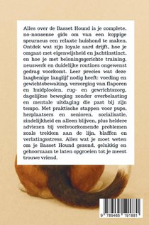 Alles over de Basset Hound achterzijde