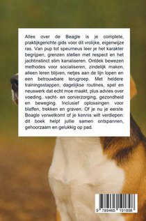 Alles over de Beagle achterzijde