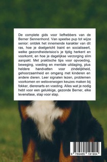 Alles over de Berner Sennenhond achterzijde