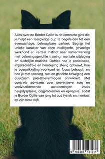 Alles over de Border Collie achterzijde