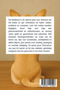 Alles over de Chihuahua achterzijde