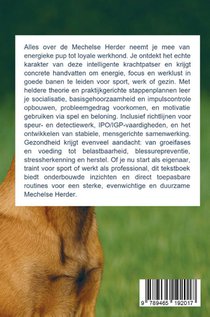 Alles over de Mechelse Herder achterzijde