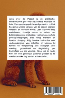 Alles over de Poedel achterzijde