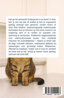 Hoe leer je een kat iets af achterzijde
