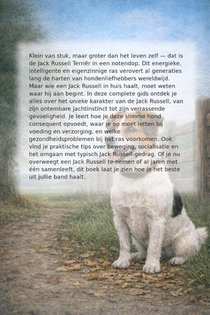 Alles over de Jack Russell Terriër achterzijde