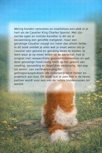 Alles over de Cavalier King Charles Spaniel achterzijde