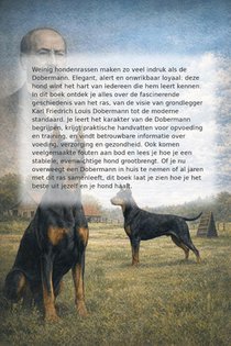 Alles over de Dobermann achterzijde