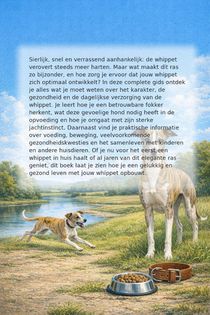 Alles over de Whippet achterzijde