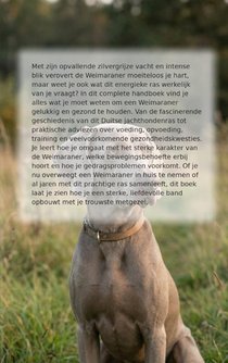 Alles over de Weimaraner achterzijde