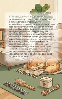 Alles over de Pomeranian achterzijde
