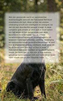 Alles over de Flatcoated Retriever achterzijde