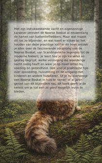 Alles over de noorse boskat achterzijde