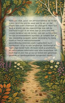 Alles over de Teckel achterzijde