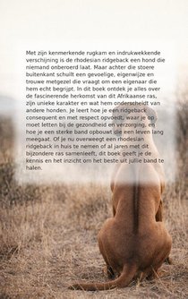 Alles over de rhodesian ridgeback achterzijde