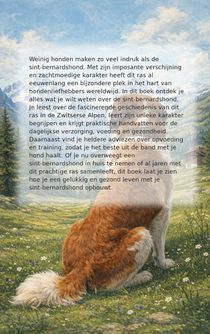 Alles over de sint-bernardshond achterzijde