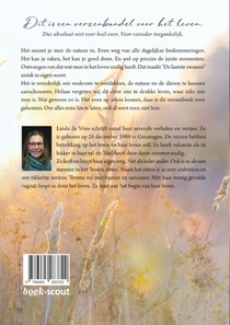 De laatste zwanen achterzijde