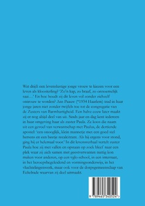 De straat als brede kloostergang achterzijde