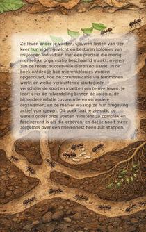 Alles over Mieren achterzijde