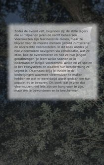 Alles over Vleermuizen achterzijde