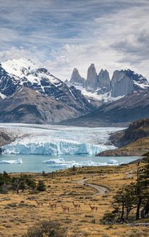 Alles over Patagonië achterzijde