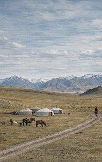 Alles over Mongolië achterzijde