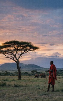 Alles over Kenia achterzijde