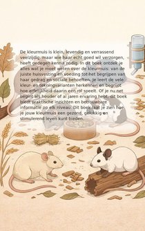 Alles over de Kleurmuis achterzijde