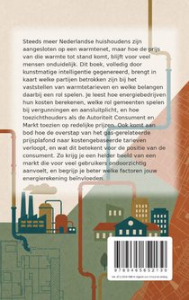 Warmtenetten en wie de prijs bepaalt achterzijde