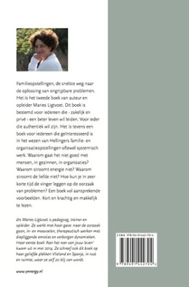 Familieopstellingen achterzijde