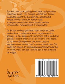 De gids over drukke kids achterzijde