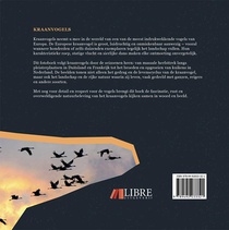 Kraanvogels achterzijde