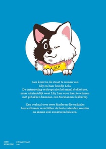 De ontmoeting achterzijde