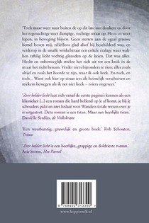 Zeer helder licht achterzijde