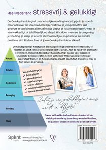 De Gelukspiramide achterzijde