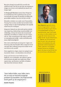 Strip op de horizon achterzijde