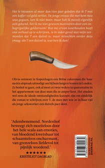 Het duivelsboek achterzijde