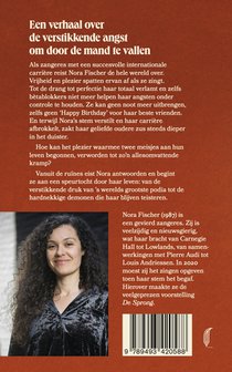 Hoogspanning achterzijde