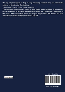 Irish Fairy Tales achterzijde