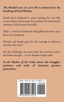 Thunder's Shadow achterzijde