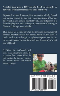 The Case of the Haunted Hotel achterzijde